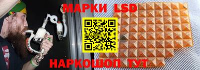 дмт Обнинск