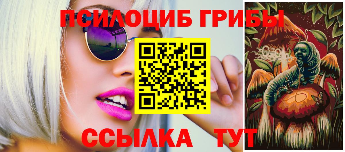 Шелехов  Псилоцибиновые грибы мухоморы  Вход с VPN 