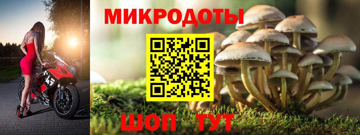 Галлюциногенные грибы GOLDEN TEACHER Шелехов